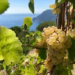 Pietrafiore Séjour à la ferme *