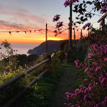 Pietrafiore Çiftlik konaklama Monterosso al Mare