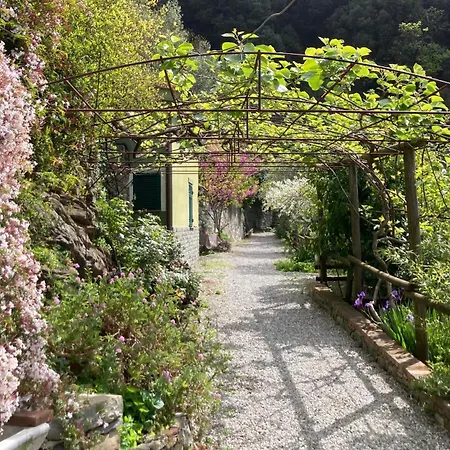 Pietrafiore モンテロッソ・アル・マーレ