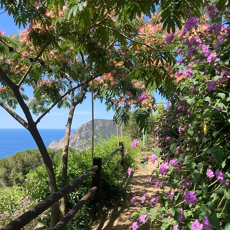 Pietrafiore * Monterosso al Mare
