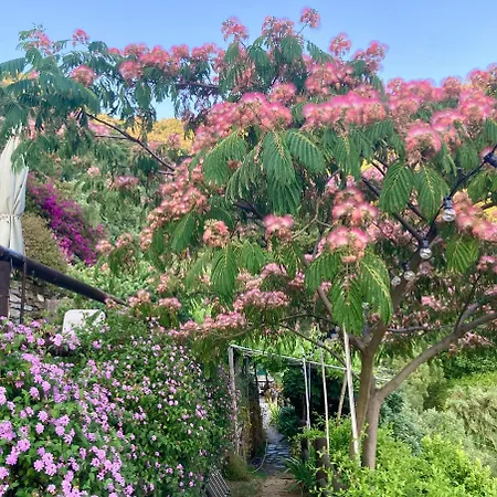 Pietrafiore * Monterosso al Mare