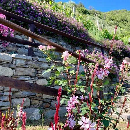 Agroturismo Pietrafiore