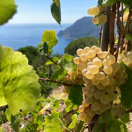 Pietrafiore Alloggio per agriturismo *