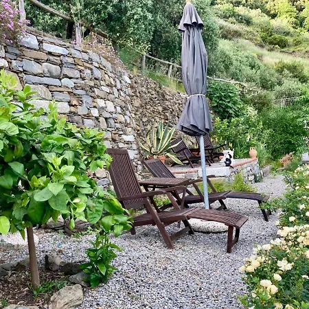 Lantgård Pietrafiore Monterosso al Mare