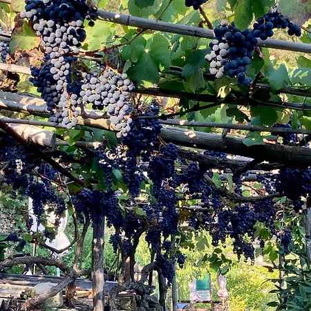 Alloggio per agriturismo Pietrafiore