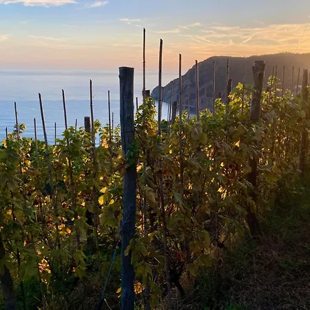 Lantgård Pietrafiore Monterosso al Mare