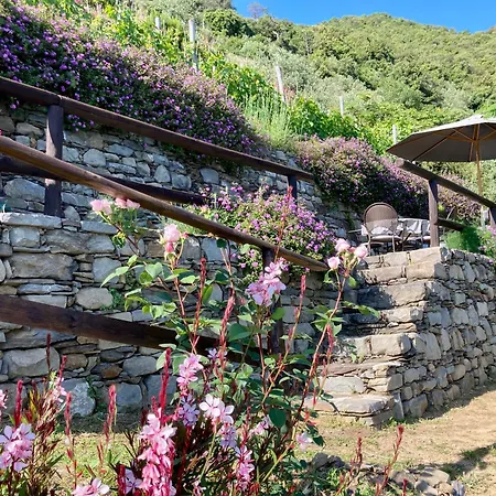 Pietrafiore Çiftlik konaklama Monterosso al Mare