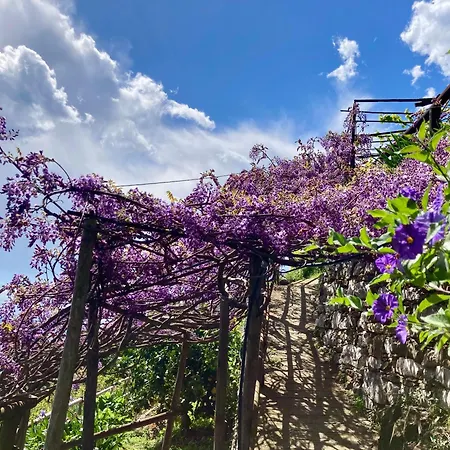 Lantgård Pietrafiore Monterosso al Mare
