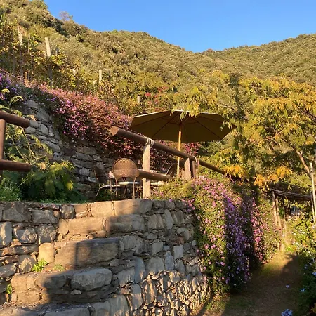 Feriegård Pietrafiore Monterosso al Mare